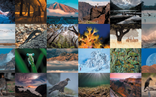 Exposición OS PARQUES NACIONAIS DE ESPAÑA, en Valladolid