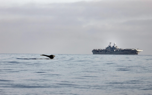 Visita guiada á Escola naval de especialidades de La Graña (ESENGRA) e á escola de hostalaría - Espazo +60 Ferrol 