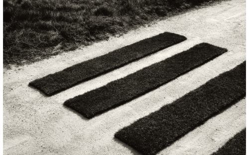 Exposición 'CHEMA MADOZ. A natureza das cousas', en Santiago de Compostela