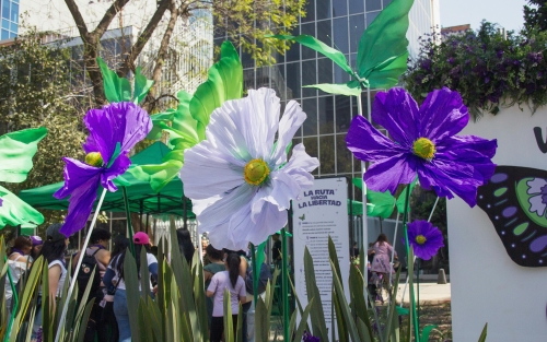 Programación de actividades semana 8M - Espazo +60 Ourense