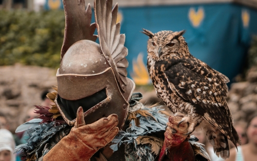 Viaxe a Toledo e Puy du Fou - Espazos +60 Betanzos, Pontedeume e Ferrol