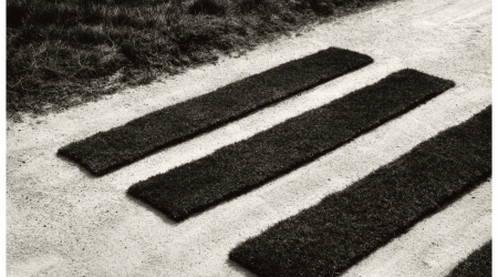 Visita guiada á Exposición 'CHEMA MADOZ. La naturaleza de las cosas' - Espazo +60 Santiago 