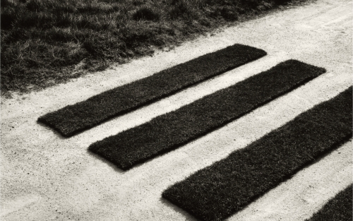 Visita guiada á Exposición 'CHEMA MADOZ. La naturaleza de las cosas' - Espazo +60 Santiago 