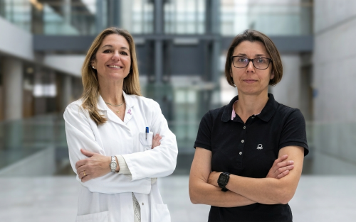 Diálogos sobre Longevidad y Envejecimiento - Con la colaboración de María Carmen Gómez Cabrera y Consuelo Borrás