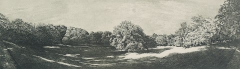 Como el verdor desnudo