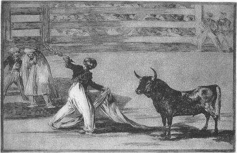 Origen de los arpones o banderillas