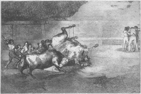 Caballero derribado por un toro