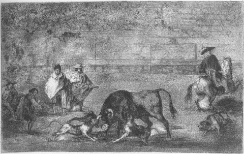 Perros al toro