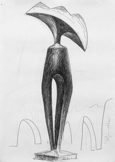 Boceto de passaro altivus