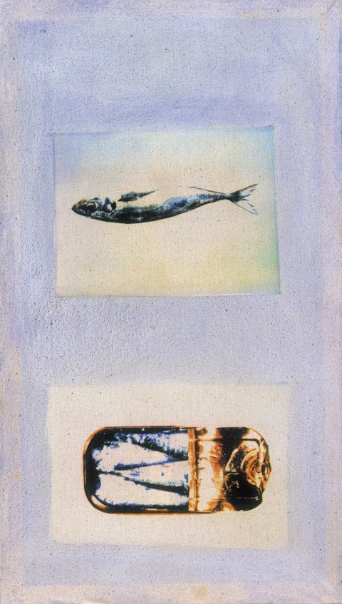 Nós conservamos a naturaleza III