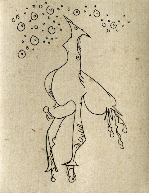 LECCIÓN DE ASTRONIMÍA