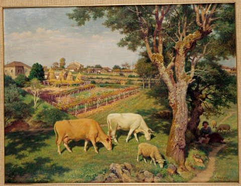 Paisaje típico gallego