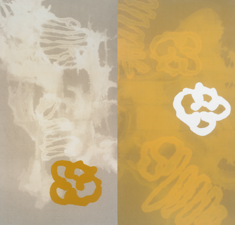 Cerebros coma frores II