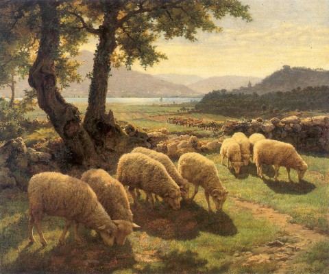 Paisaje con ovejas