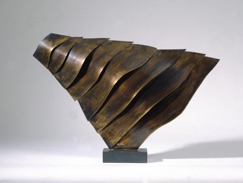 Palometa