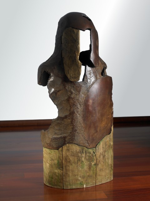 GUERRERO CON PUERTAS