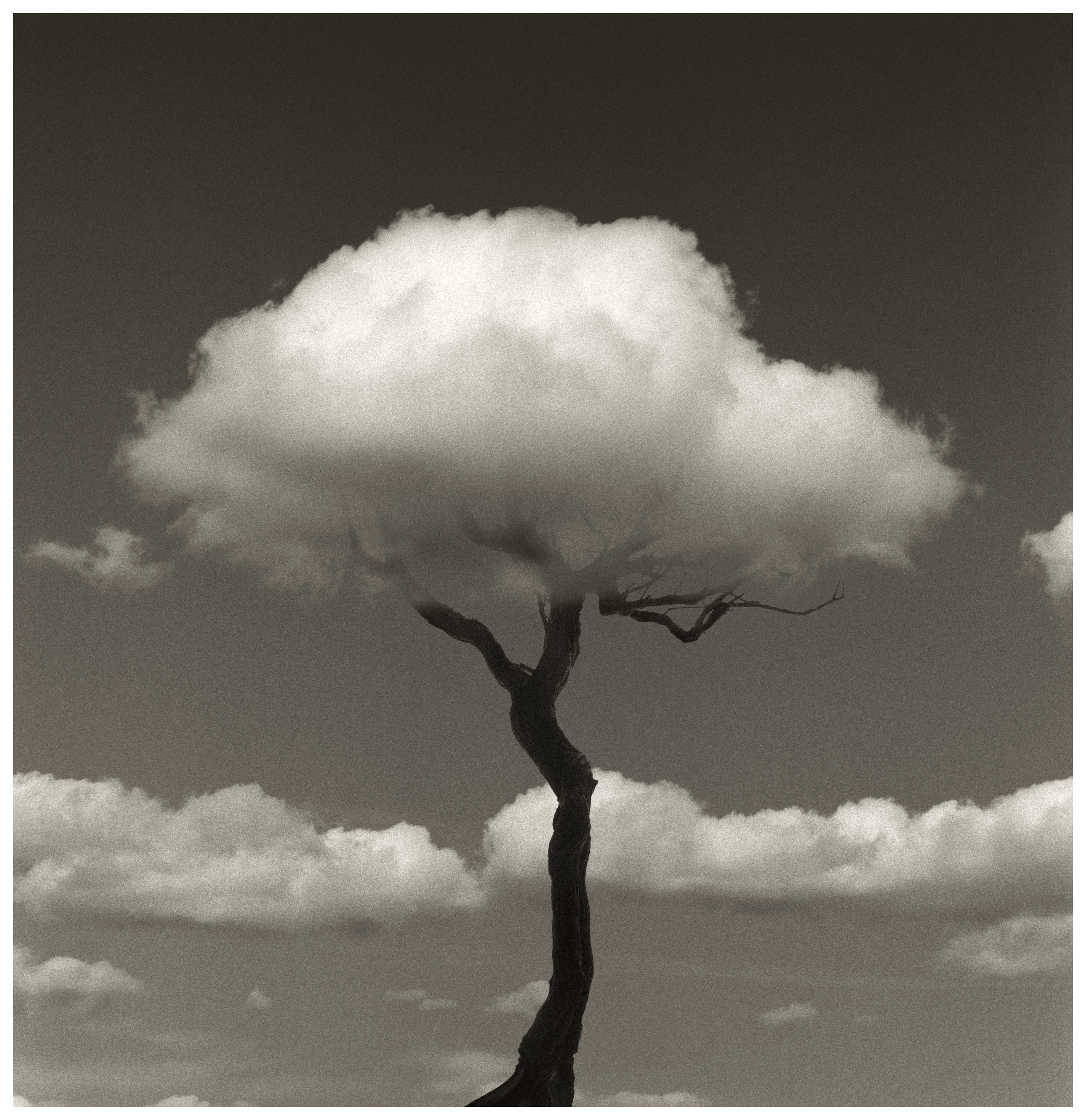 Chema Madoz amosa na Sede de Afundación «A natureza das cousas»