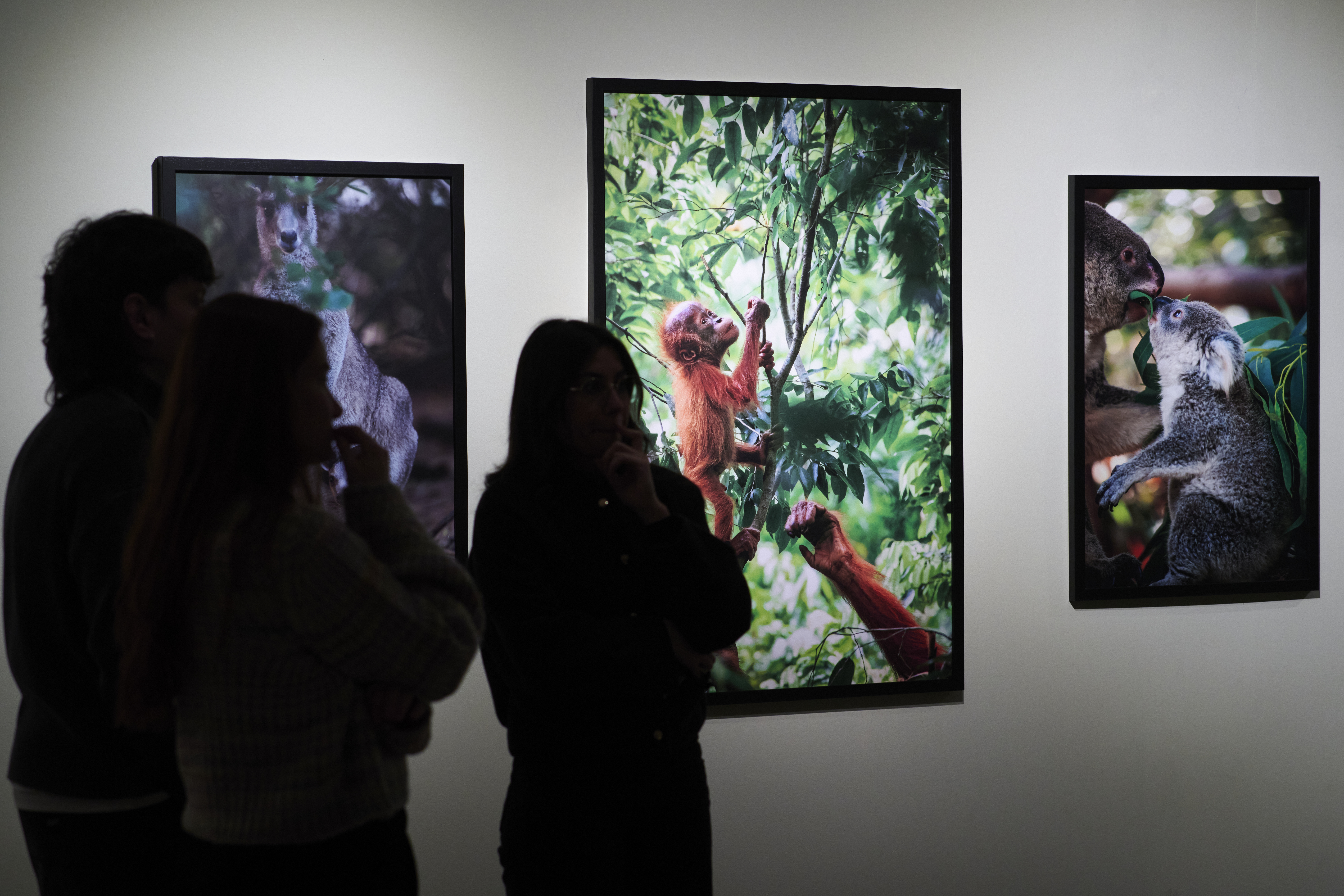 Más de 2300 personas visitan, en su primer mes en el Teatro Afundación, ¡Madre mía! Maternidades y crías en el mundo animal