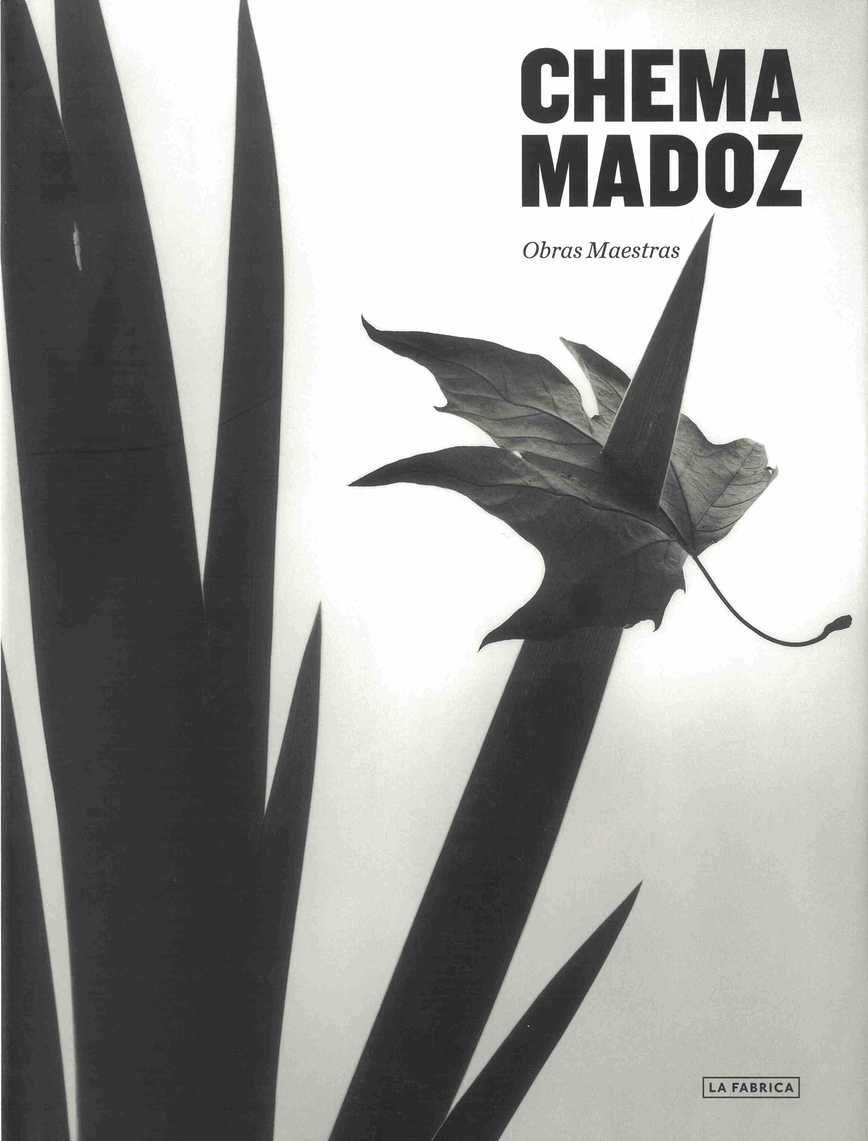 {publicacion-titulo_es