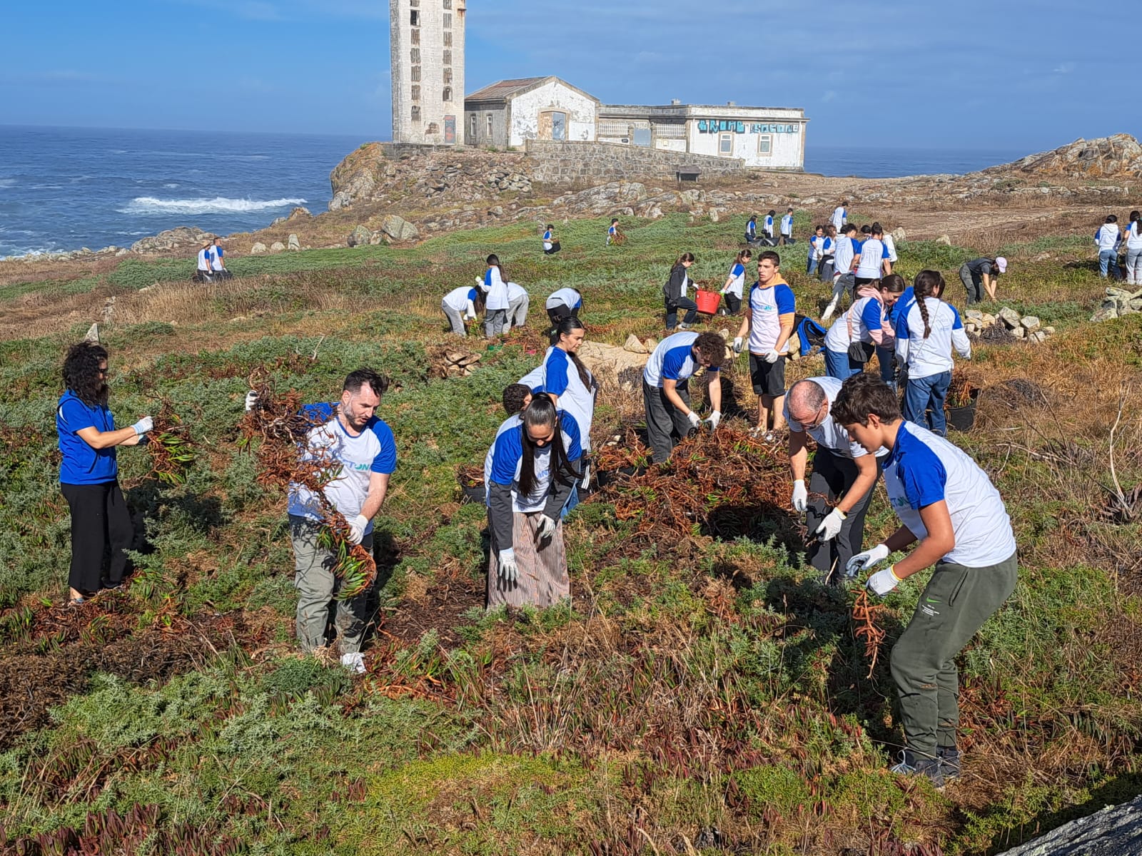 Estudiantes y profesorado de la UIE retiran cuatro toneladas y media de uña de gato del entorno del Faro de Corrubedo Estudiantes y profesorado de la UIE retiran cuatro toneladas y media de uña de gato del entorno del Faro de Corrubedo