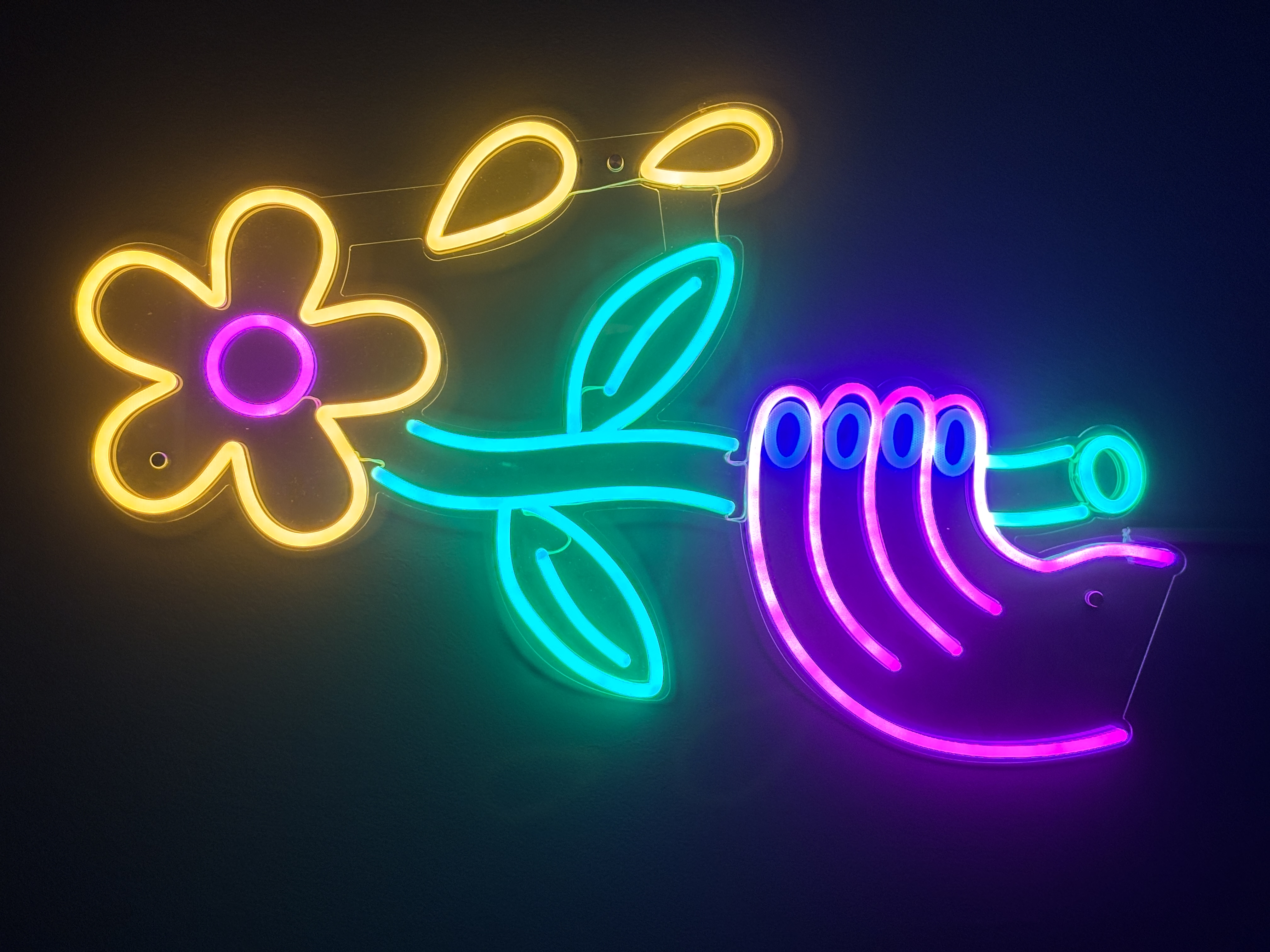 Una explosión de color y creatividad en Pontevedra con «Diversa. Mostra Internacional de Ilustración Contemporánea Afundación»