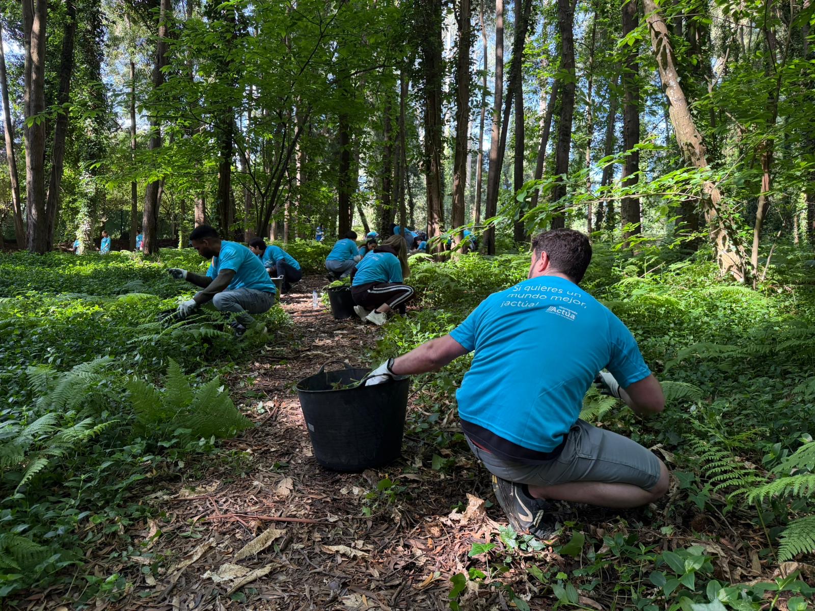 Estudantes e profesorado do CPR Afundación da Coruña retiran 900 kg de especies botánicas invasoras en Oleiros