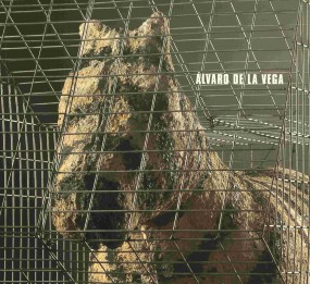 Álvaro de la Vega